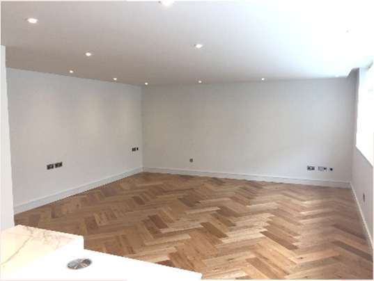 Mansfield Mews W1 project photograph